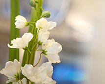 Flowers at the reception of Tokyo Ideal Org